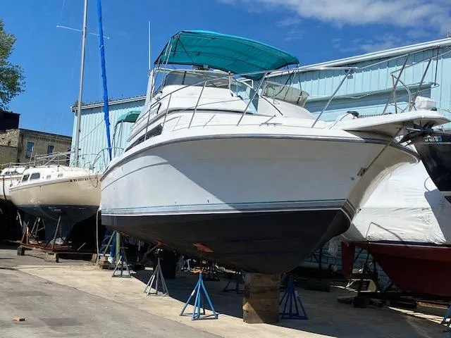 The Image of Carver Yachts 380 Santego 1993 - 0