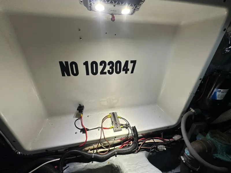 Slide: The Image of Carver 370 Voyager 1994 - 52