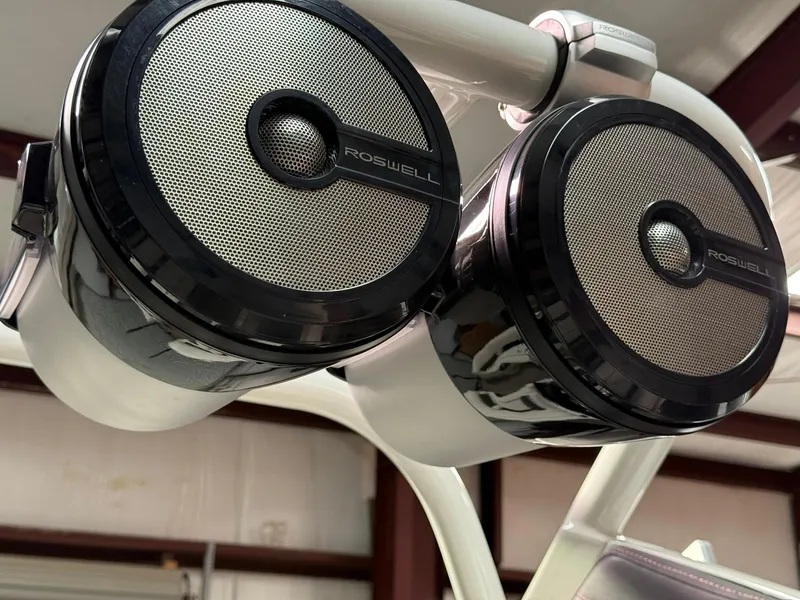 Slide: The Image of Roswell speakers on 2019 Bennington 25 QX Sport boat, close-up view. - 30