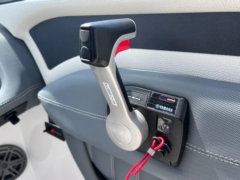 Slide: The Image of Cobalt 25SC 2019 - 56