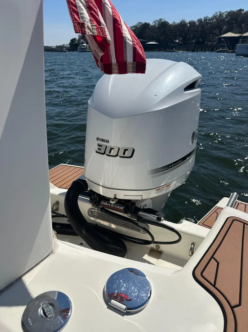 Slide: The Image of 2021 Brig Eagle 8 boat with powerful engine on a sunny lake. - 5