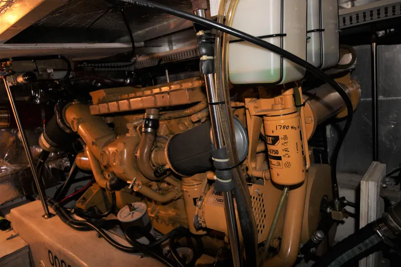 Slide: The Image of Cat Diesel 1 - 37