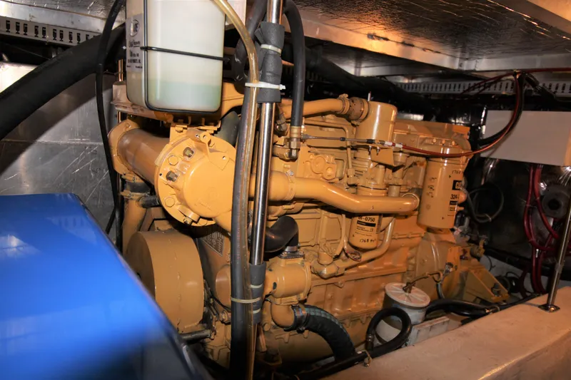 Slide: The Image of Cat Diesel 2 - 38