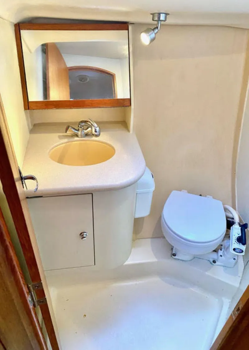 Slide: The Image of Head - 21