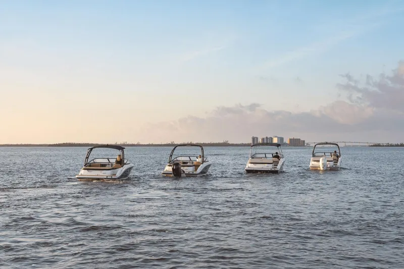 Slide: The Image of Sea Ray SPX 190 Outboard 2025 - 51