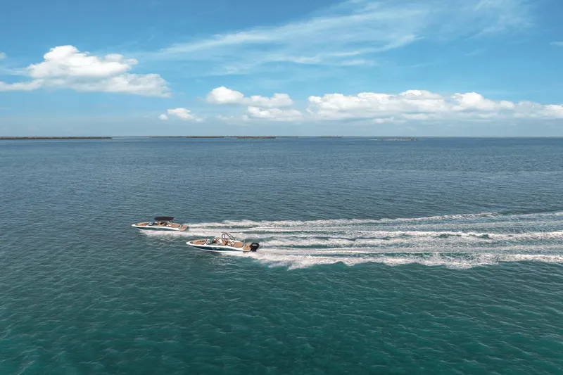 Slide: The Image of Sea Ray SPX 190 Outboard 2025 - 56