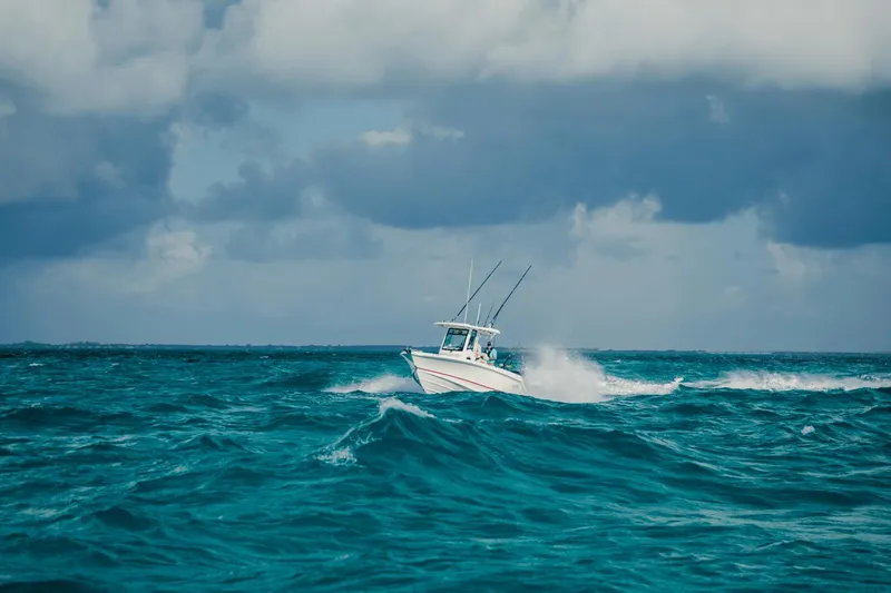 Slide: The Image of Boston Whaler 250 Outrage 2025 - 21