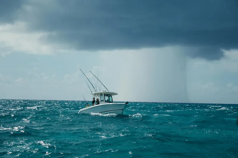 Slide: The Image of Boston Whaler 250 Outrage 2025 - 28