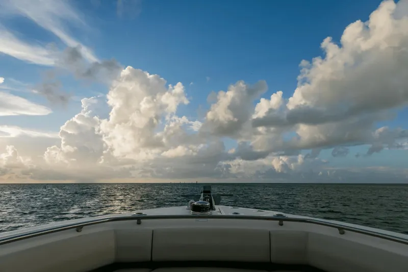 Slide: The Image of Boston Whaler 250 Outrage 2025 - 66