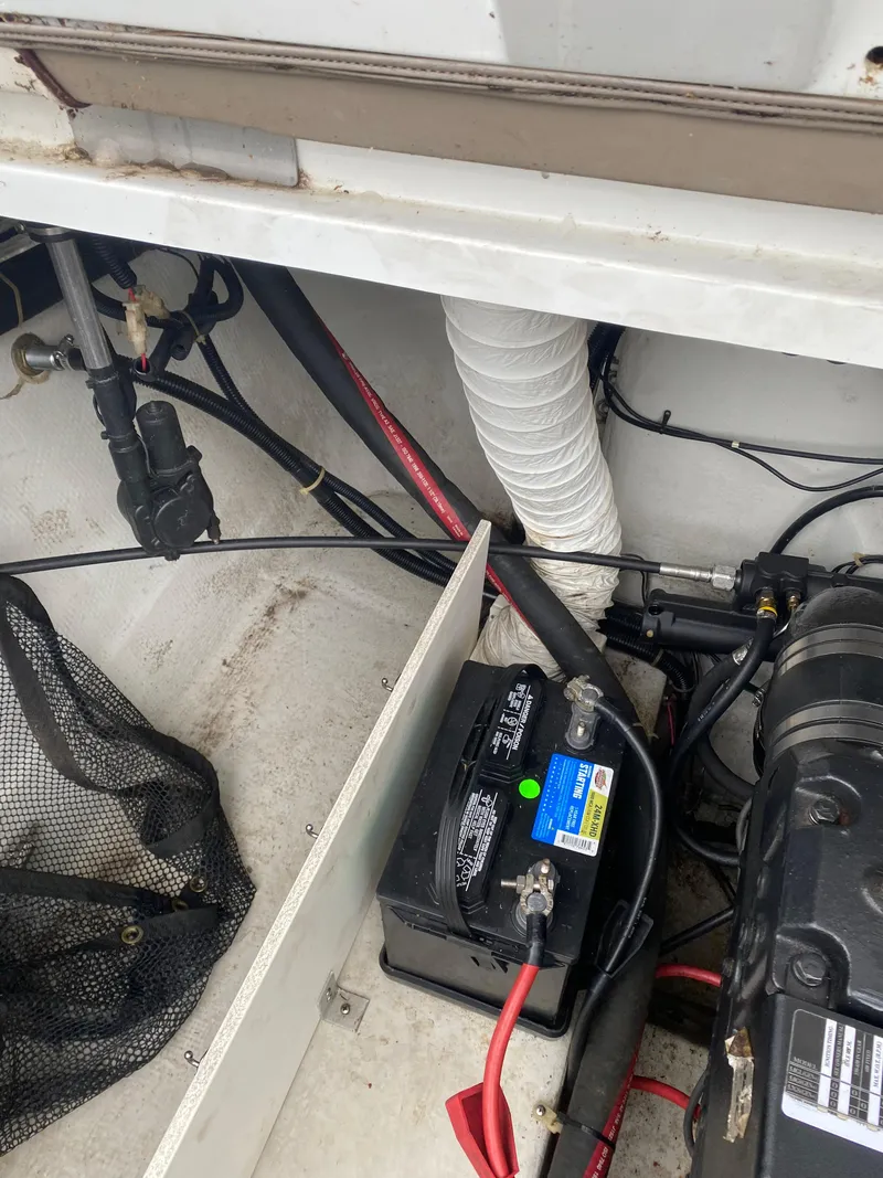 Slide: The Image of Cobalt 232 1999 - 17