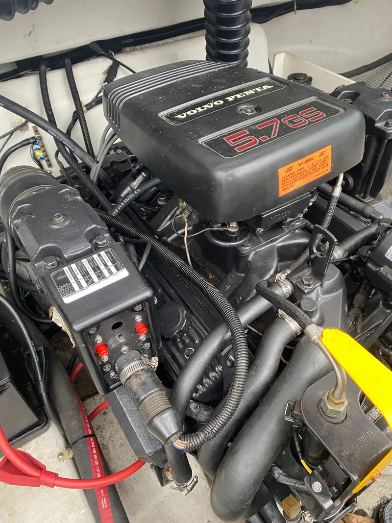 Slide: The Image of Cobalt 232 1999 - 19