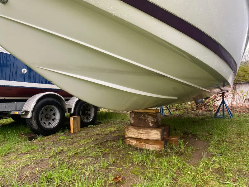 Slide: The Image of Cobalt 232 1999 - 3