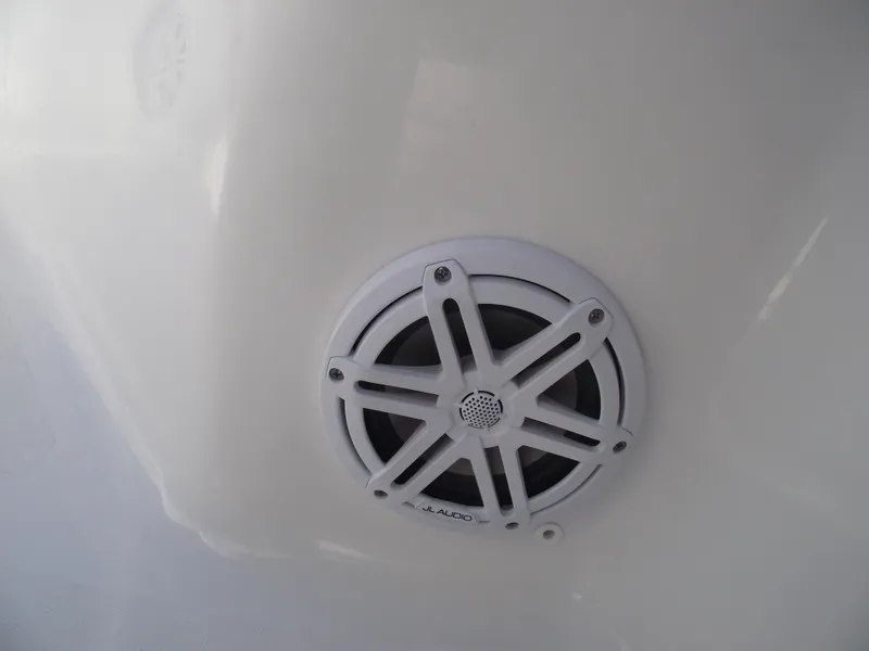 Slide: The Image of Speaker on 2022 Tidewater 1910 Bay Max boat, white exterior. - 17