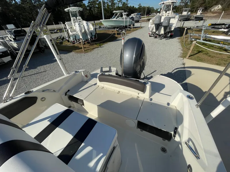 Slide: The Image of Stingray 206 CC 2018 - 12