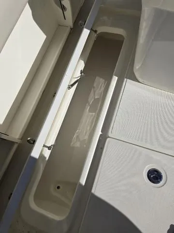 Slide: The Image of Boston Whaler 250 Outrage 2025 - 5