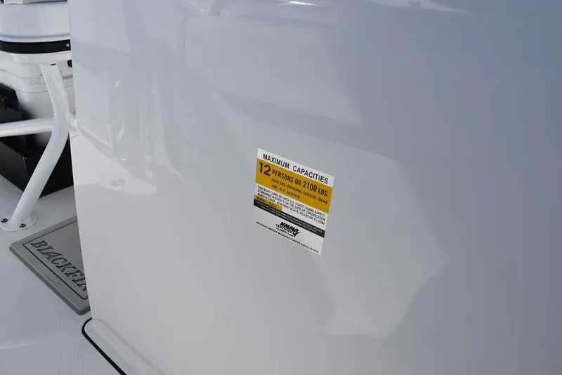 Slide: The Image of Blackfin 252 CC 2025 - 53