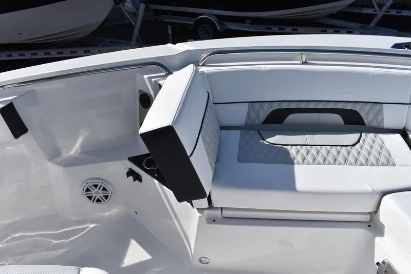 Slide: The Image of Blackfin 252 CC 2025 - 63