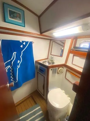 Slide: The Image of Irwin 54 1989 - 54