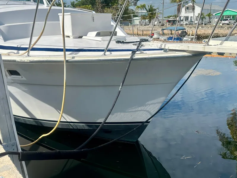 Slide: The Image of 1974 Bertram 42 Motor Yacht docked in a marina, reflecting on calm water. - 14