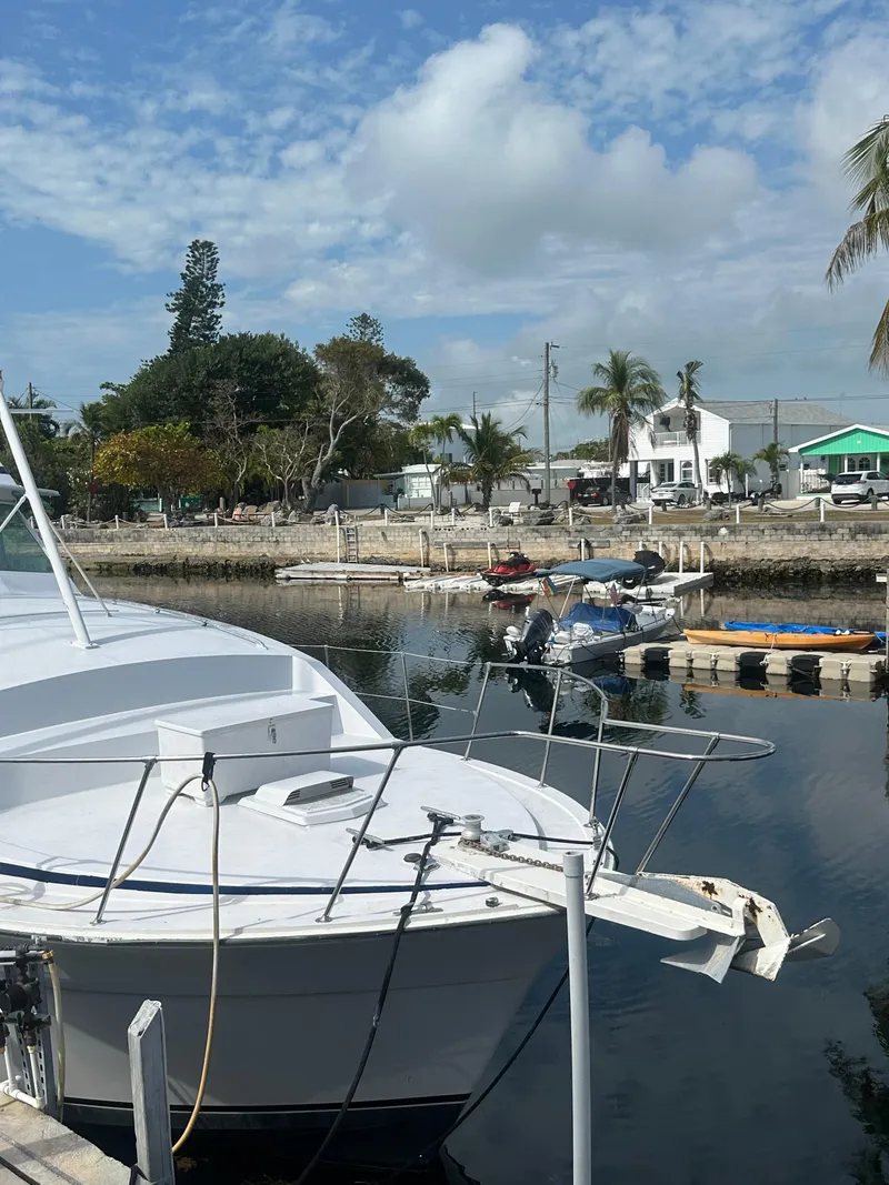 Slide: The Image of 1974 Bertram 42 Motor Yacht docked in a serene marina with palm trees and blue sky. - 15