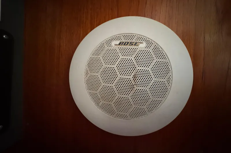 Slide: The Image of Bose speakers - 100