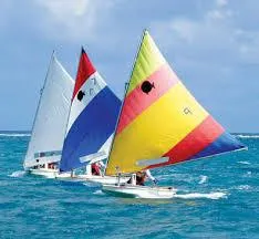 Slide: The Image of Colorful sailboats racing on the ocean, featuring 2025 SERO Innovation Sunfish models. - 7