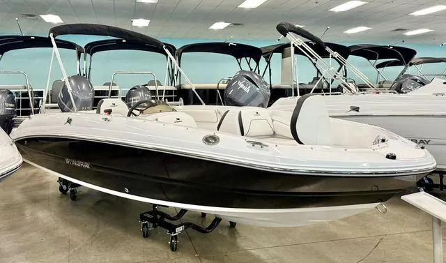 Slide: The Image of Stingray 182SC 2026 - 1