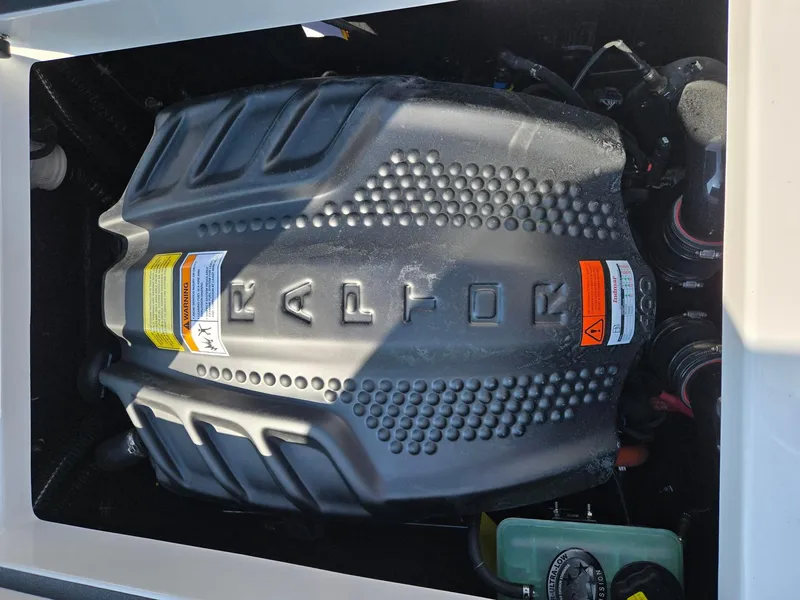 Slide: The Image of Moomba Mondo 2025 - 13