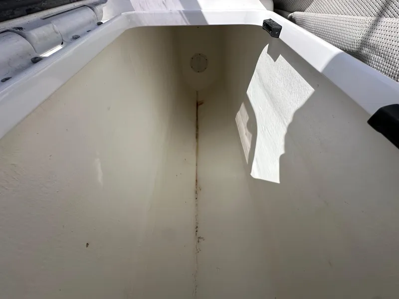 Slide: The Image of Dragonfly 25 Touring 2021 - 51