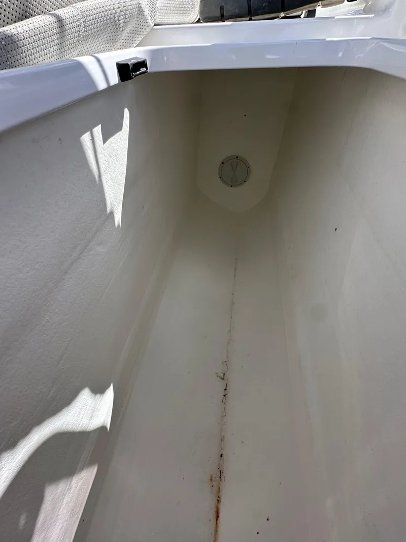 Slide: The Image of Dragonfly 25 Touring 2021 - 52