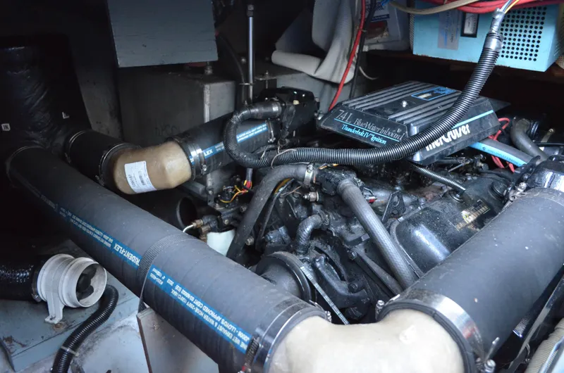 Slide: The Image of Carver Santego 38 1989 - 67