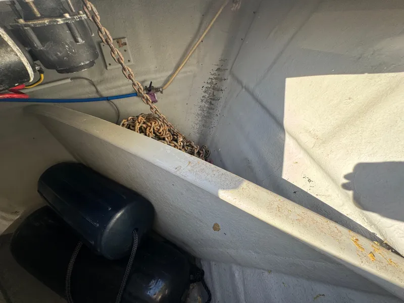 Slide: The Image of Apreamare Don Giovanni 2005 - 105