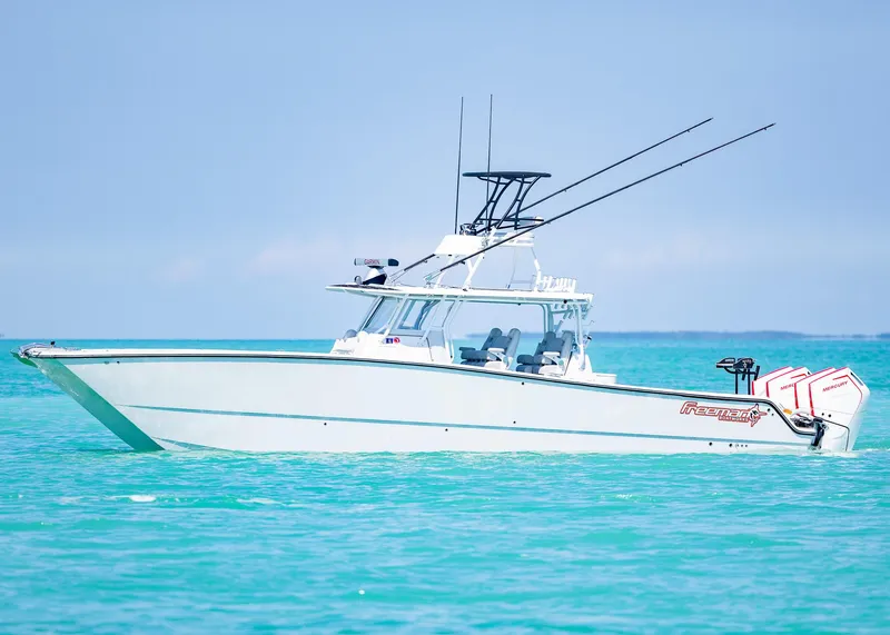 Slide: The Image of Freeman 42LR 2019 - 50