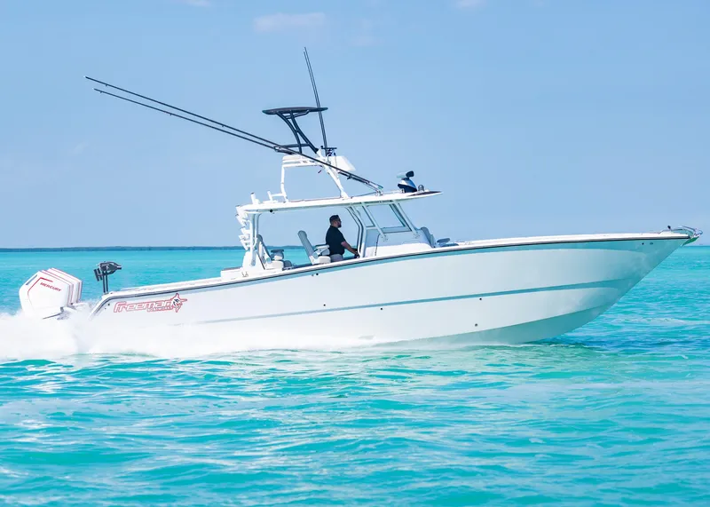 Slide: The Image of Freeman 42LR 2019 - 51