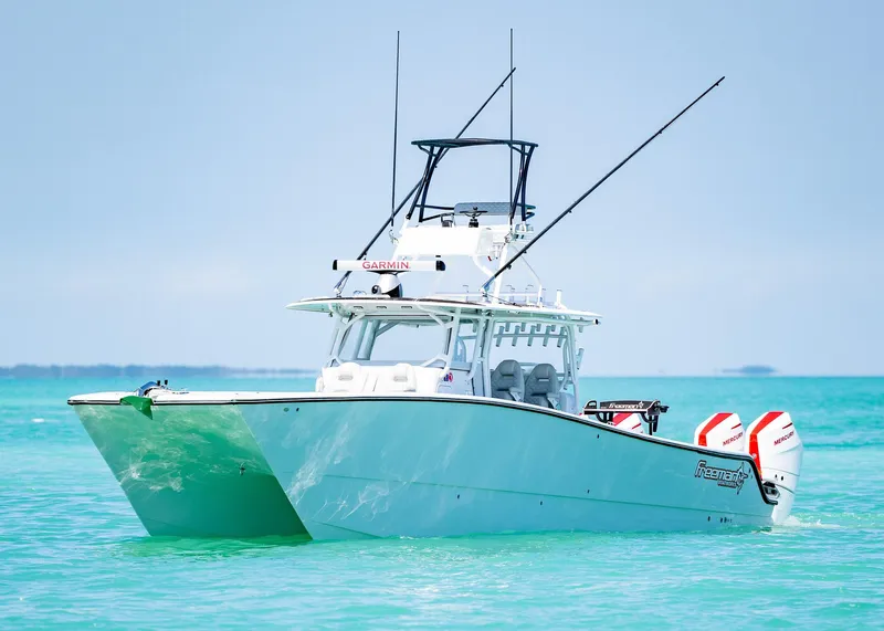 Slide: The Image of Freeman 42LR 2019 - 52