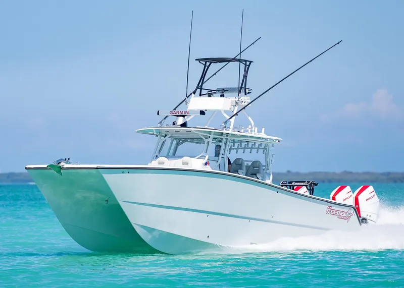 Slide: The Image of Freeman 42LR 2019 - 54