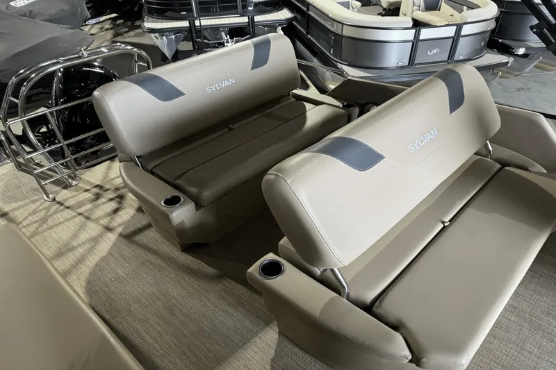 Slide: The Image of Sylvan L3DLZTT 2022 - 13