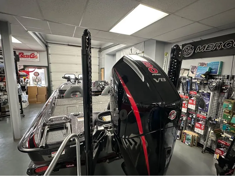 Slide: The Image of Bass Cat Cougar 2025 - 17