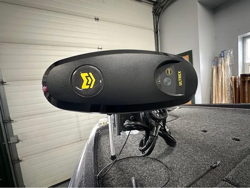 Slide: The Image of Bass Cat Cougar 2025 - 19