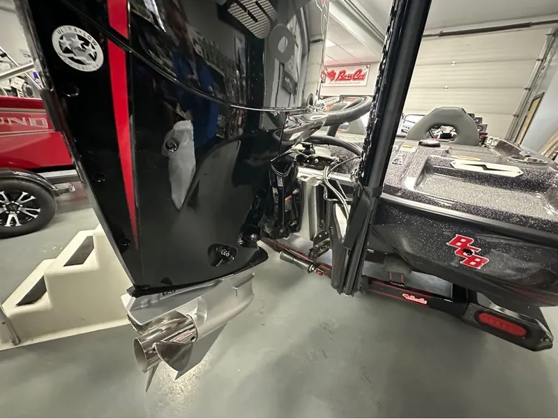 Slide: The Image of Bass Cat Cougar 2025 - 6