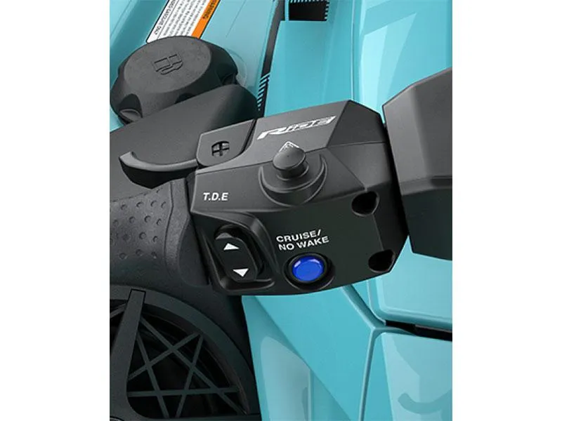 Slide: The Image of Yamaha VX Limited HO 2025 - 6