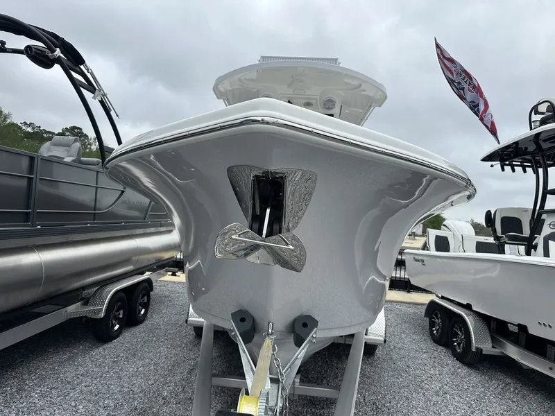 Slide: The Image of Sea Pro 262 DLX 2025 - 4