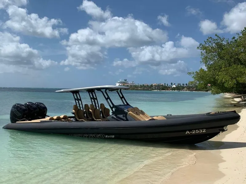 Slide: The Image of 2018 Bernico RX10 boat on a tropical beach with clear water and blue sky. - 0