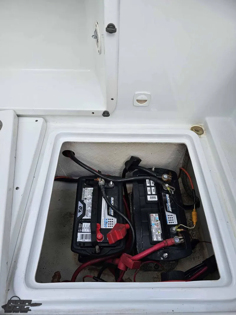 Slide: The Image of Baja .38 Special 2003 - 186