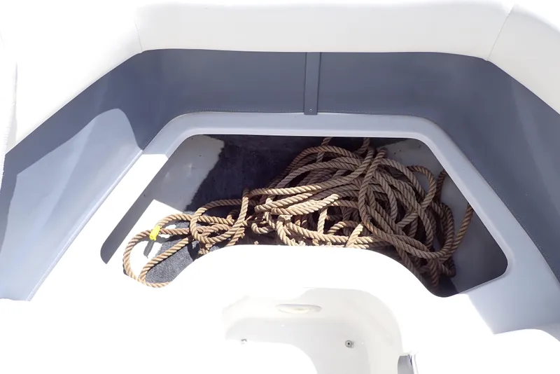 Slide: The Image of Cobalt 240 2002 - 58