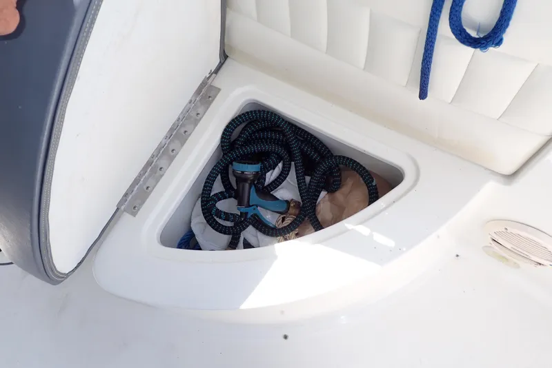 Slide: The Image of Cobalt 240 2002 - 76