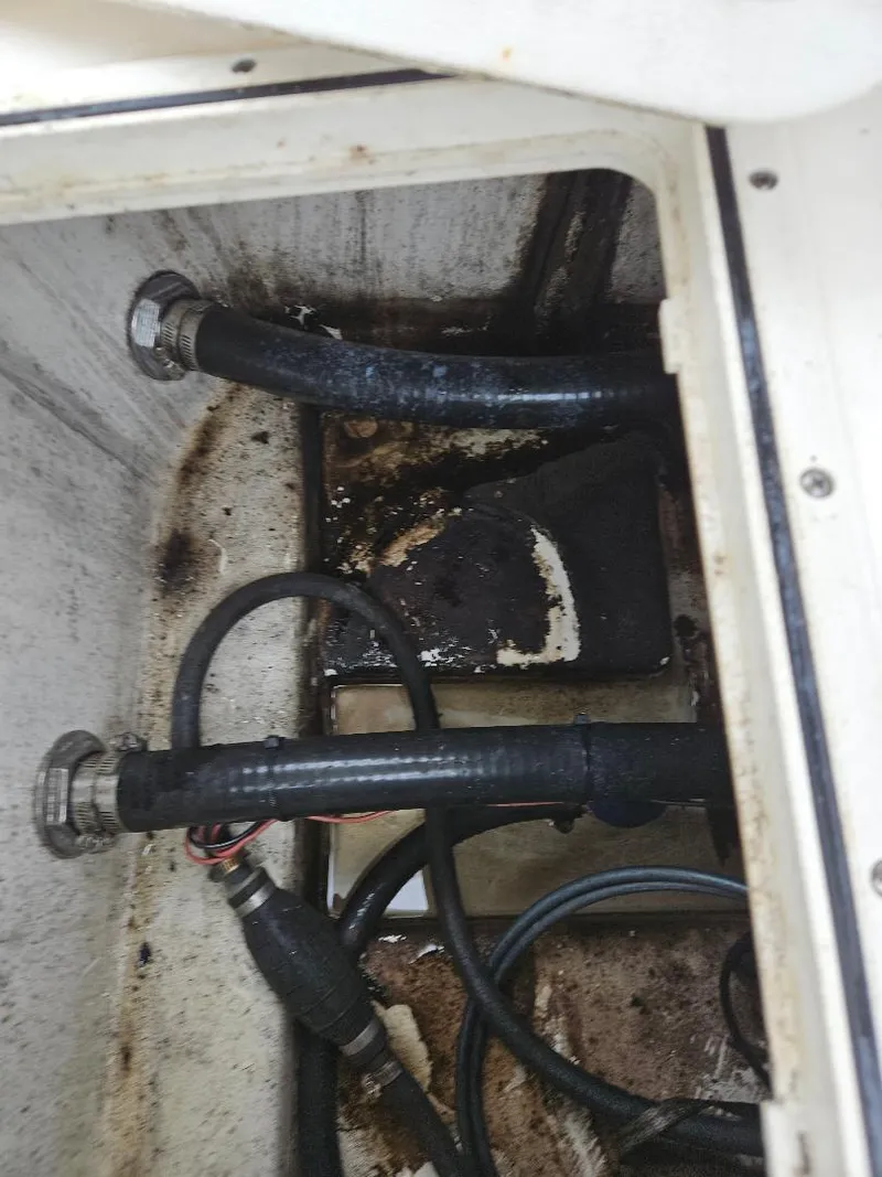 Slide: The Image of Pioneer Sportfish 202 2019 - 21