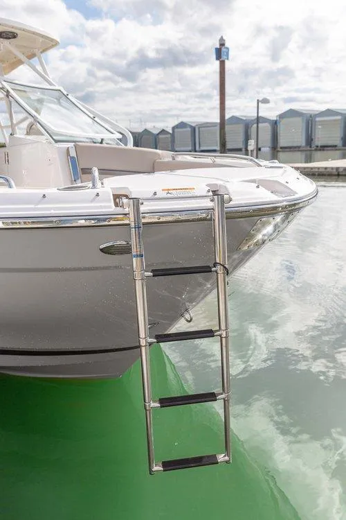 Slide: The Image of 2026 Solara S-250 DC boat with ladder, docked in marina under cloudy sky. - 5