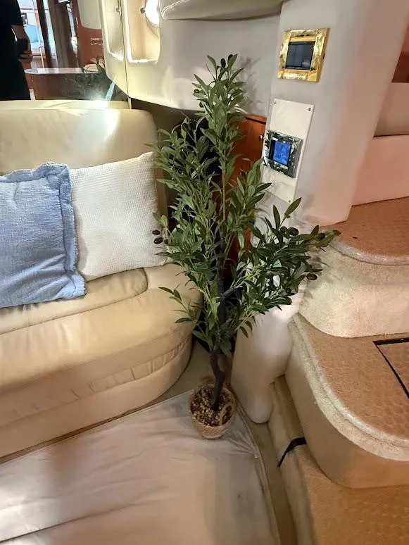 Slide: The Image of Interior of 2000 Sea Ray 510 Sundancer with plant and beige seating. - 24