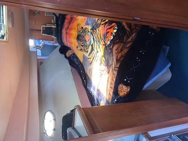 Slide: The Image of Interior of 1992 Carver 33 Aft Cabin with tiger-themed bedspread. - 13